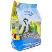 Pipas usa disfa