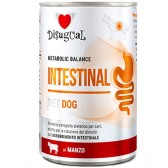 Disugual intestinal