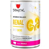 Disugual renal