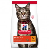 Hills Cat Adult Chicken