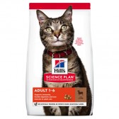 Hills Cat Adult Lamb