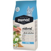 Ownat Cat Classic Kitten