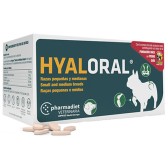 Hyaloral raças pequenas e médias