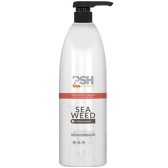 Shampoo anti-seborreico PSH
