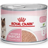 Mejor pienso gatos Royal Canin Babycat Húmedo Pienso gatos Royal Canin Babycat Húmedo