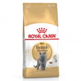 Mejor pienso gatos Royal Canin British Shorthair Pienso gatos Royal Canin British Shorthair