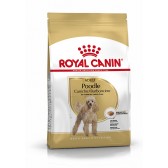 Royal Canin Caniche Royal Canin Caniche