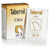 Tabernil cría