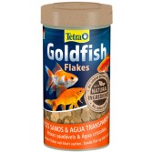 Tetra goldfish
