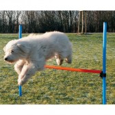 Cercas de agilidade ajustáveis Cercas de agilidade ajustáveis