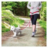 Cinto vermelho canicross mãos-livres Cinto vermelho canicross mãos-livres