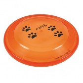 Disco Dog Activity