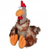 Galo teddy 22 Trixie