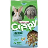 Crispy muesli rabbits
