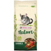 Nature chinchilla