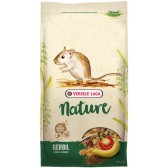 Nature gerbil