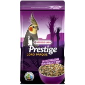 Prestige australian parakeet