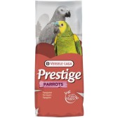 Prestige papagaio stand up