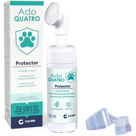 Ado QUATRO