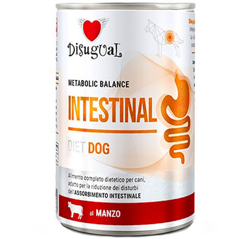 Disugual intestinal