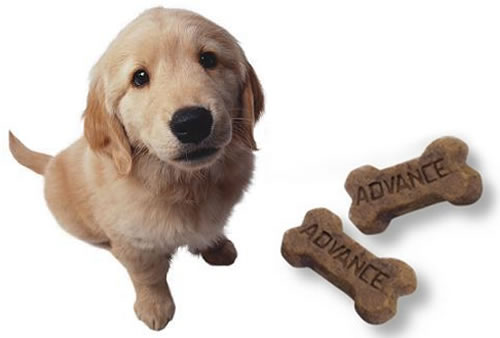 advance-puppy-snack.jpg