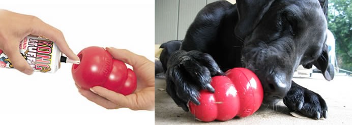 kong-classic-rojo.jpg kong-classic-rojo.jpg