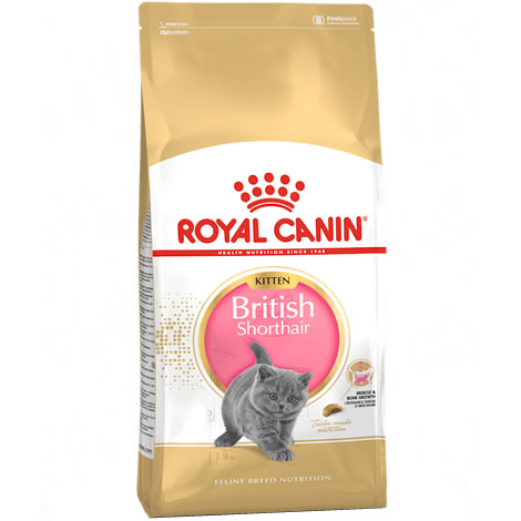 Pienso gatos Royal Canin Kitten British Shorthair
